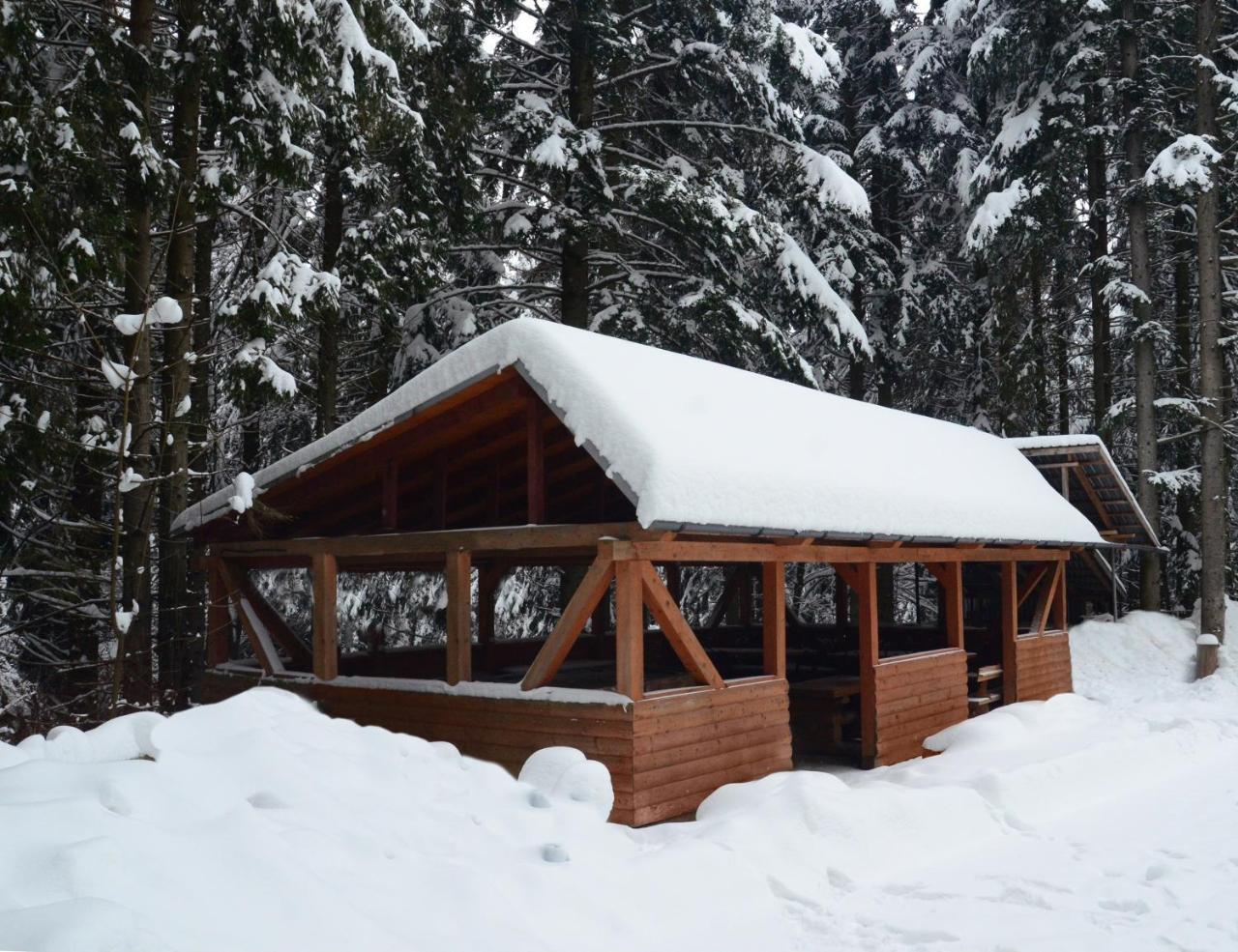 Zelenyy Bir Hotel Skhidnytsia Eksteriør billede