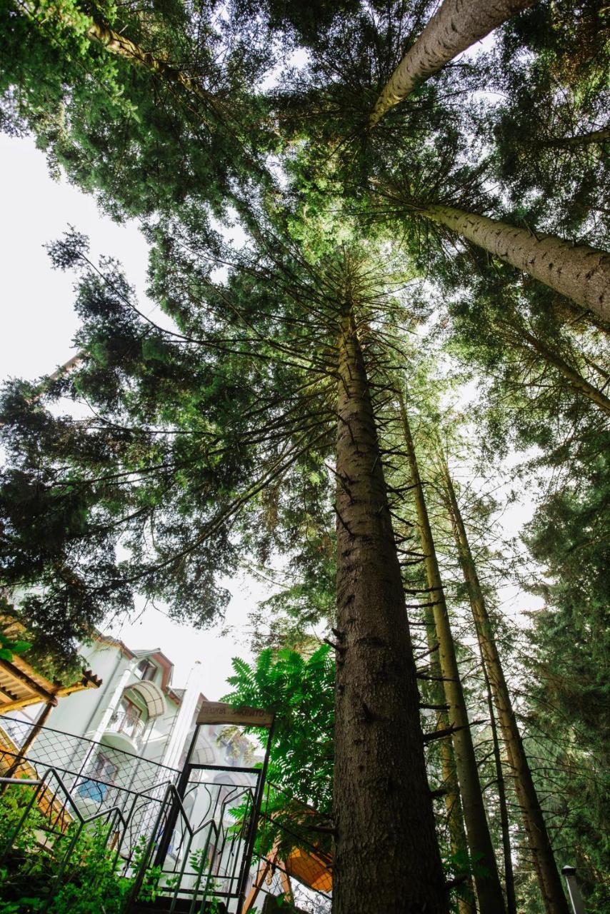 Zelenyy Bir Hotel Skhidnytsia Eksteriør billede