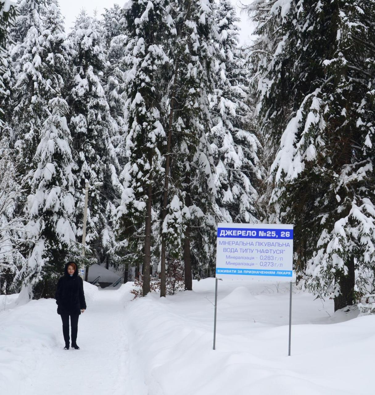 Zelenyy Bir Hotel Skhidnytsia Eksteriør billede